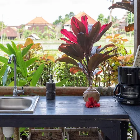 Bali Firefly Bnb