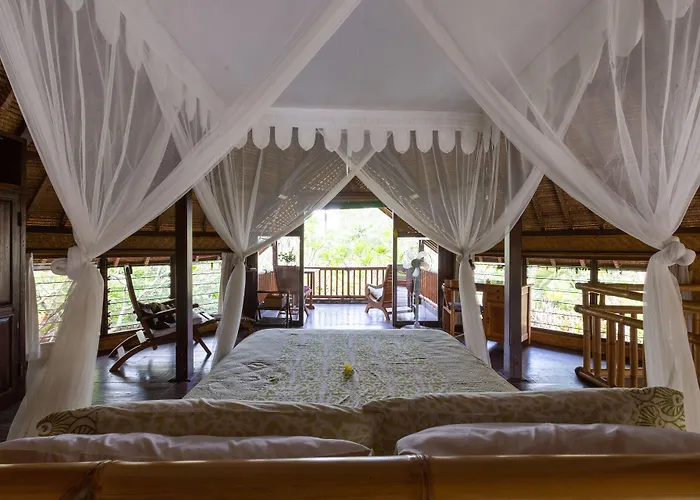 Bali Firefly