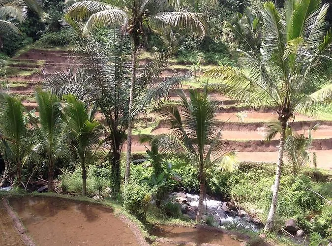Alojamento de Acomodação e Pequeno-almoço Bali Firefly 4*